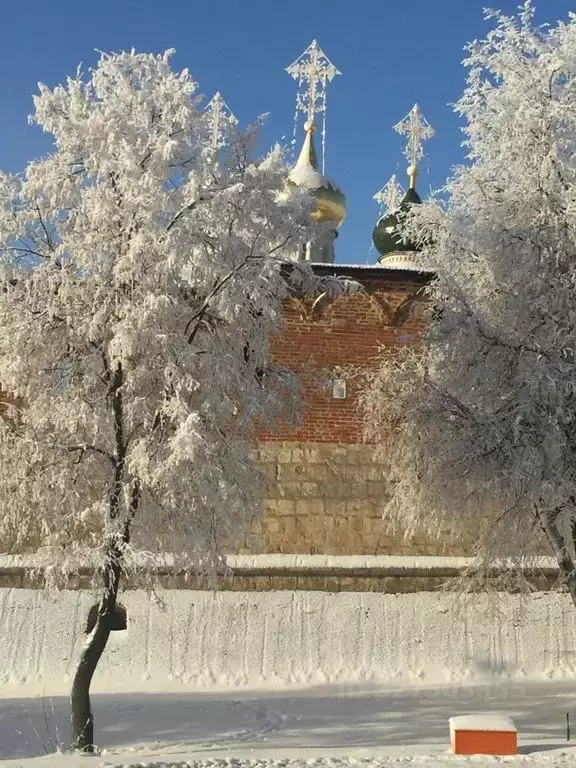 1-к кв. Московская область, Зарайск Зарайск муниципальный округ, 2-й ... - Фото 1