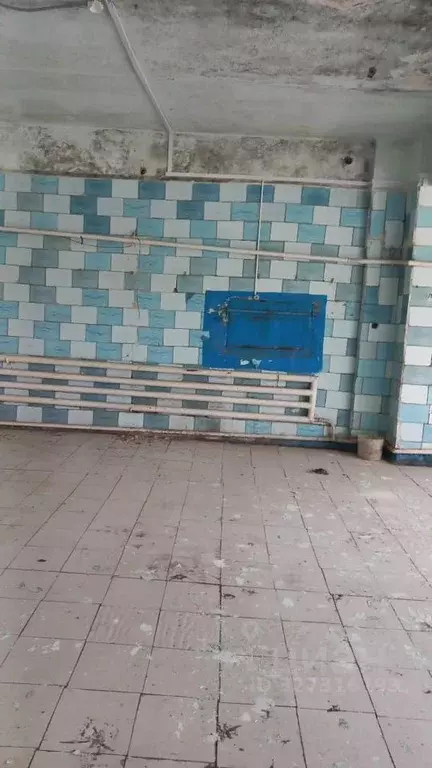 Помещение свободного назначения в Тульская область, Теплое рп ул. ... - Фото 2