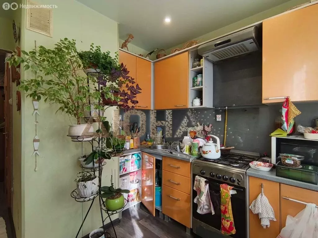 1-комнатная квартира: Кострома, Рябиновый проезд, 3 (35 м) - Фото 1