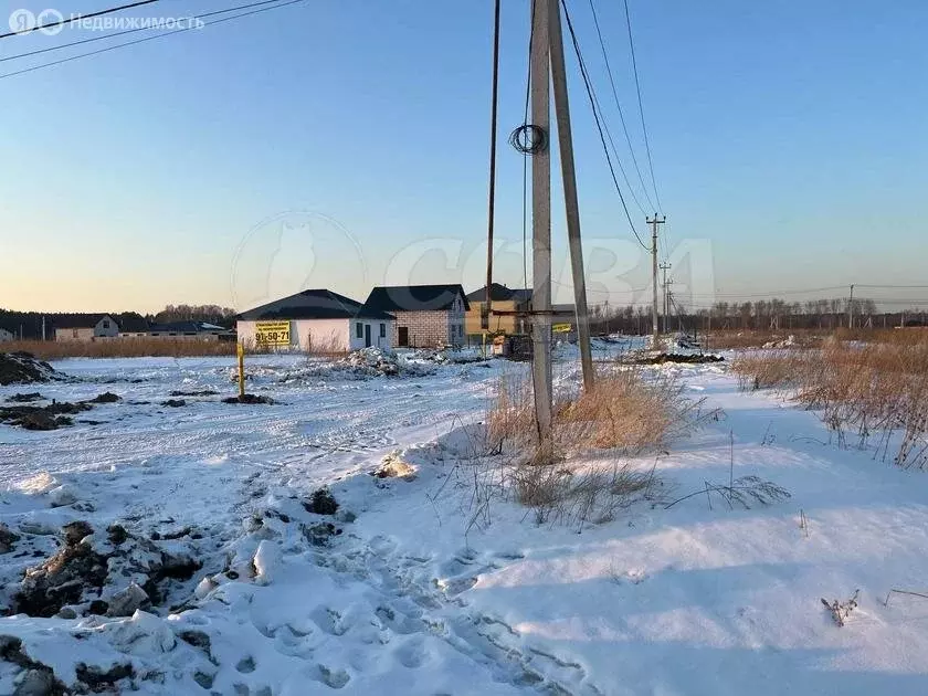 Участок в Тюменский район, деревня Решетникова (6.1 м) - Фото 1