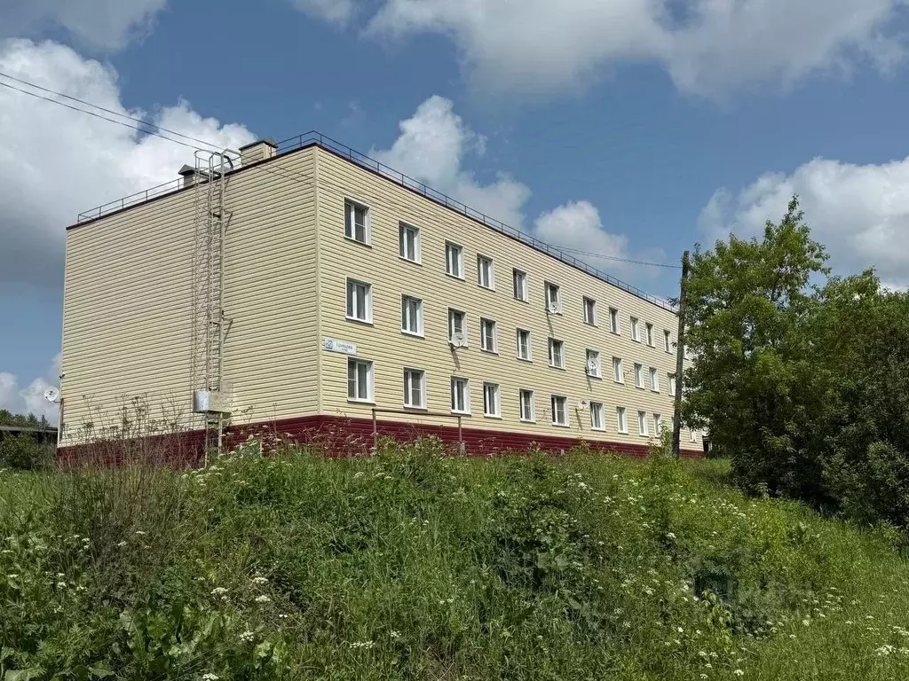 Студия Кировская область, Омутнинск ул. Кривцова, 29 (22.0 м) - Фото 0