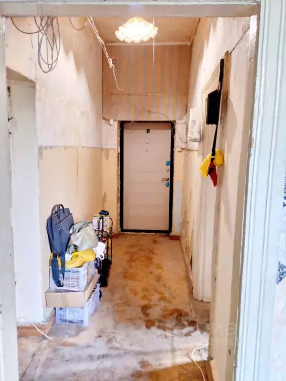 2-к кв. Новосибирская область, Новосибирск ул. Мира, 10 (53.0 м) - Фото 2