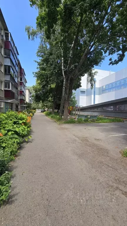 1-к кв. Курская область, Курск Школьная ул., 5к17 (30.5 м) - Фото 0