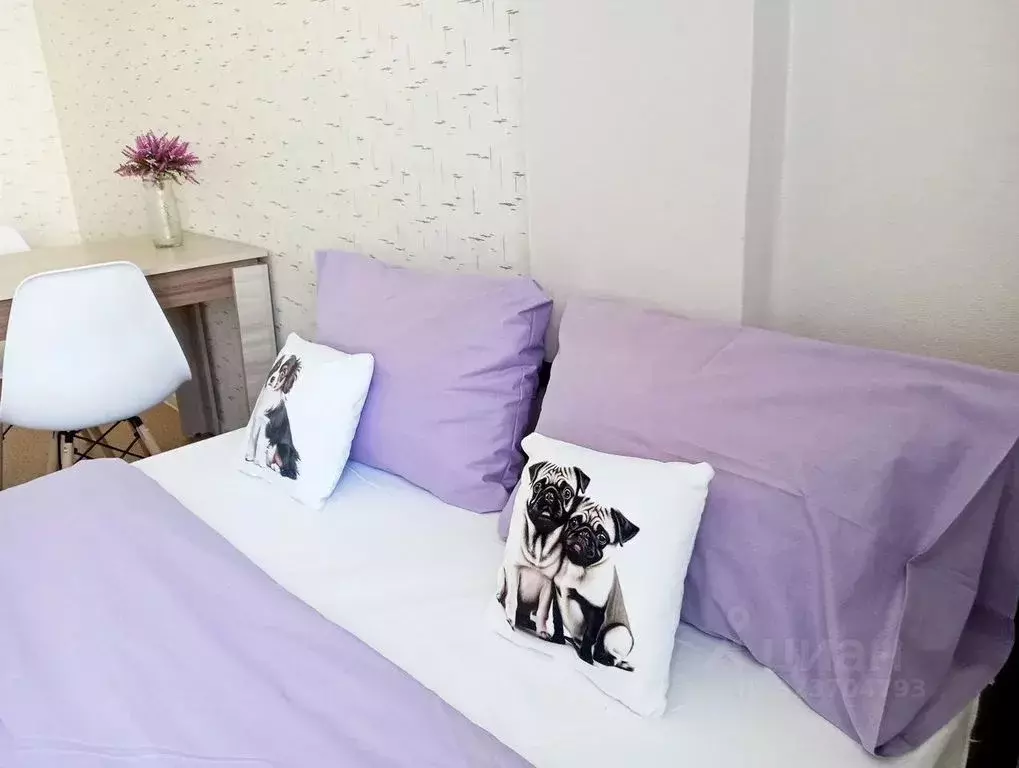 Студия Пермский край, Пермь ул. Докучаева, 52 (28.0 м) - Фото 2