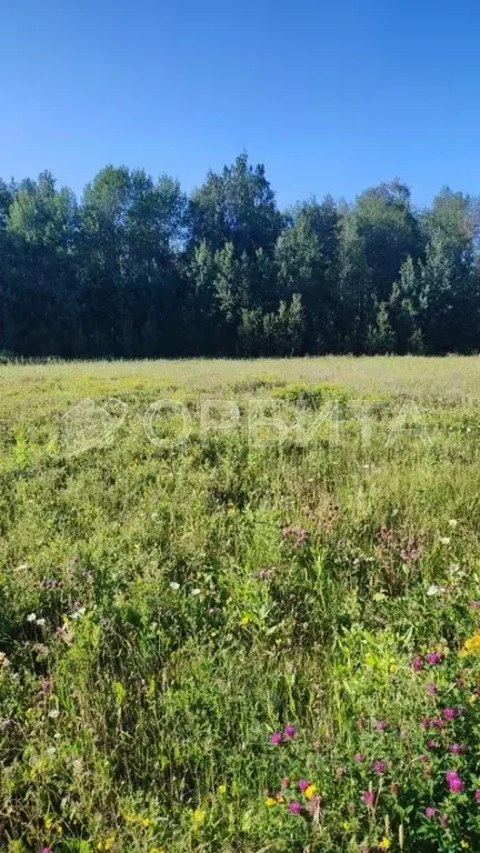 Участок в Тюменская область, Тюмень Яровское садовое товарищество, ул. ... - Фото 1