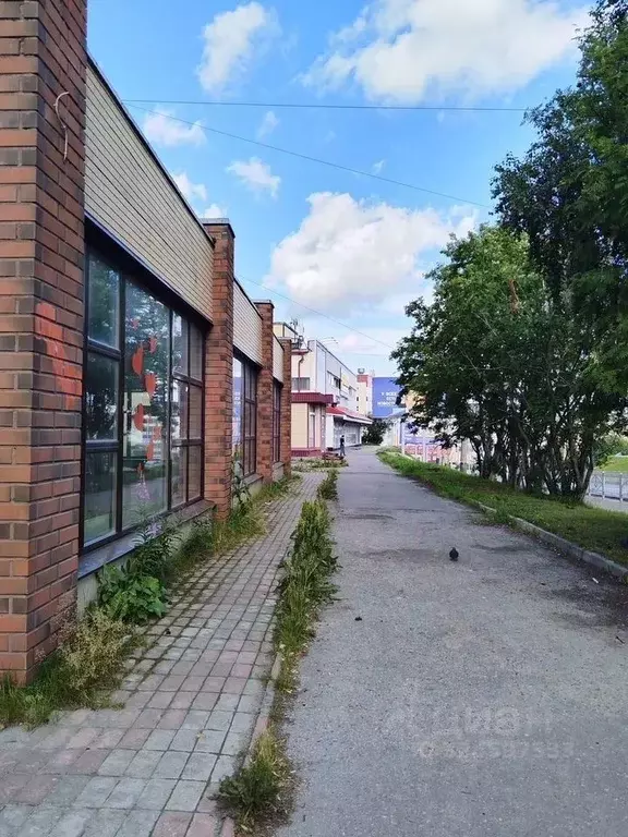 Помещение свободного назначения в Мурманская область, Мурманск просп. ... - Фото 2