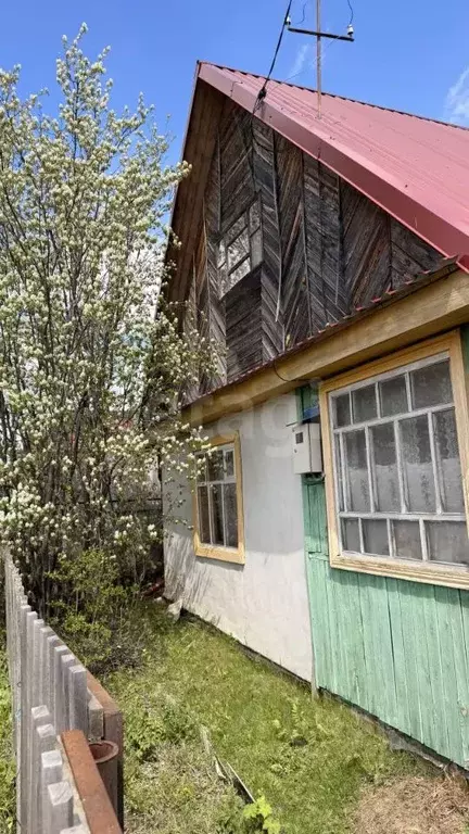 Дом в Тюменская область, Тюмень Ручеек СНТ, ул. Лесная (54 м) - Фото 1