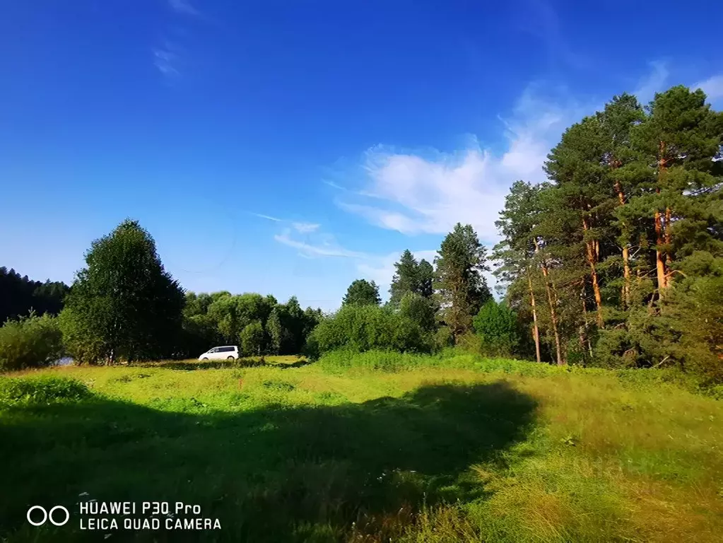 Участок в Алтай, Турочакский район, с. Тулой  (30.0 сот.) - Фото 0