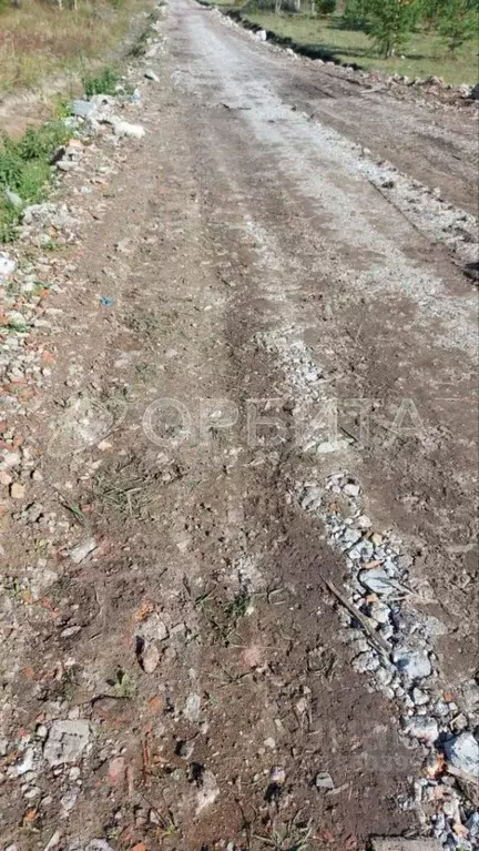 Участок в Тюменская область, Нижнетавдинский район, Венеция СНТ  (10.0 ... - Фото 1