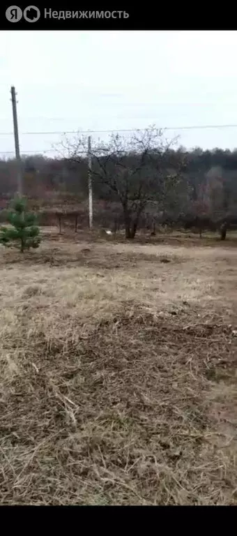 Участок в Орловский муниципальный округ, СНТ Нива (10.1 м) - Фото 2