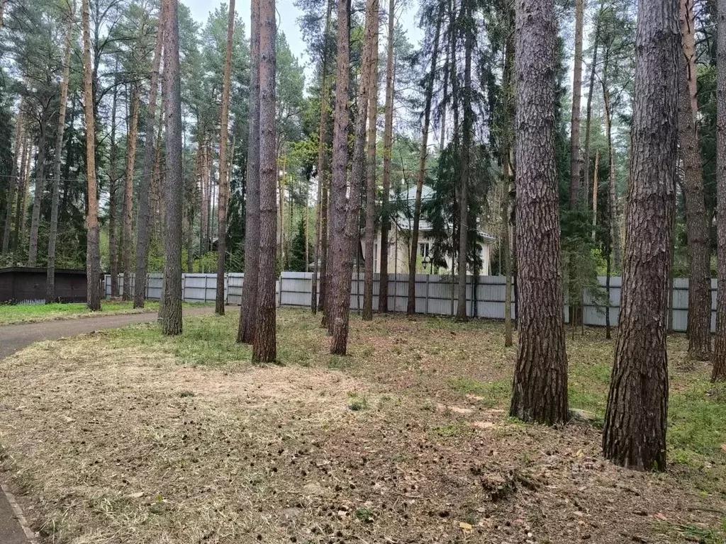 Участок в Московская область, Одинцовский городской округ, пос. дома ... - Фото 0