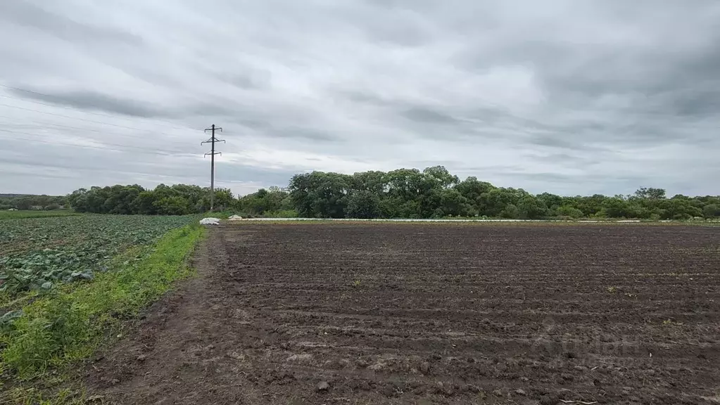Участок в Тульская область, Щекинский район, Яснополянское с/пос, с. ... - Фото 2