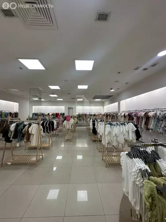 Помещение свободного назначения (231 м) - Фото 2