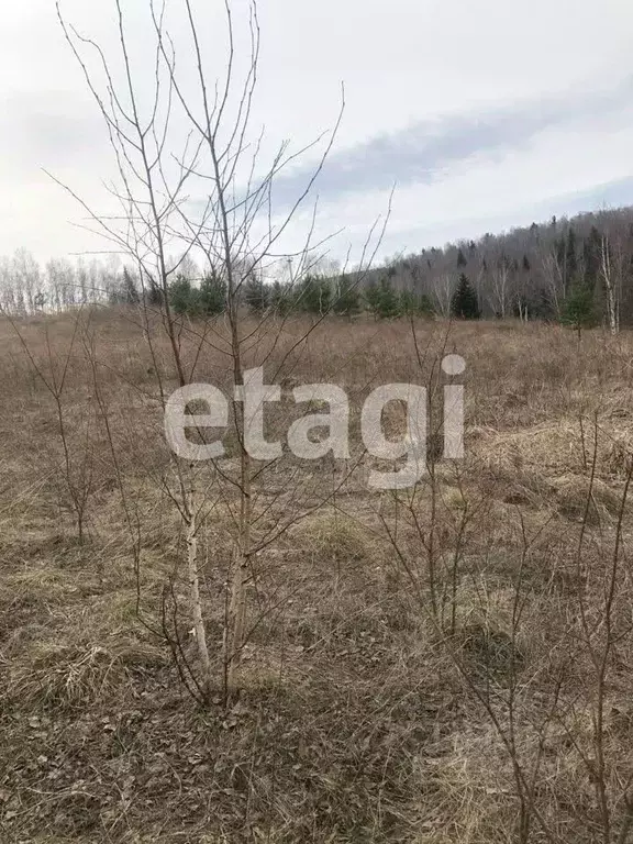 Участок в Красноярский край, Красноярск городской округ, пос. Элита  ... - Фото 1