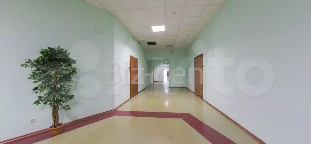 Офисное помещение 82.5 кв.м от собственника - Фото 0