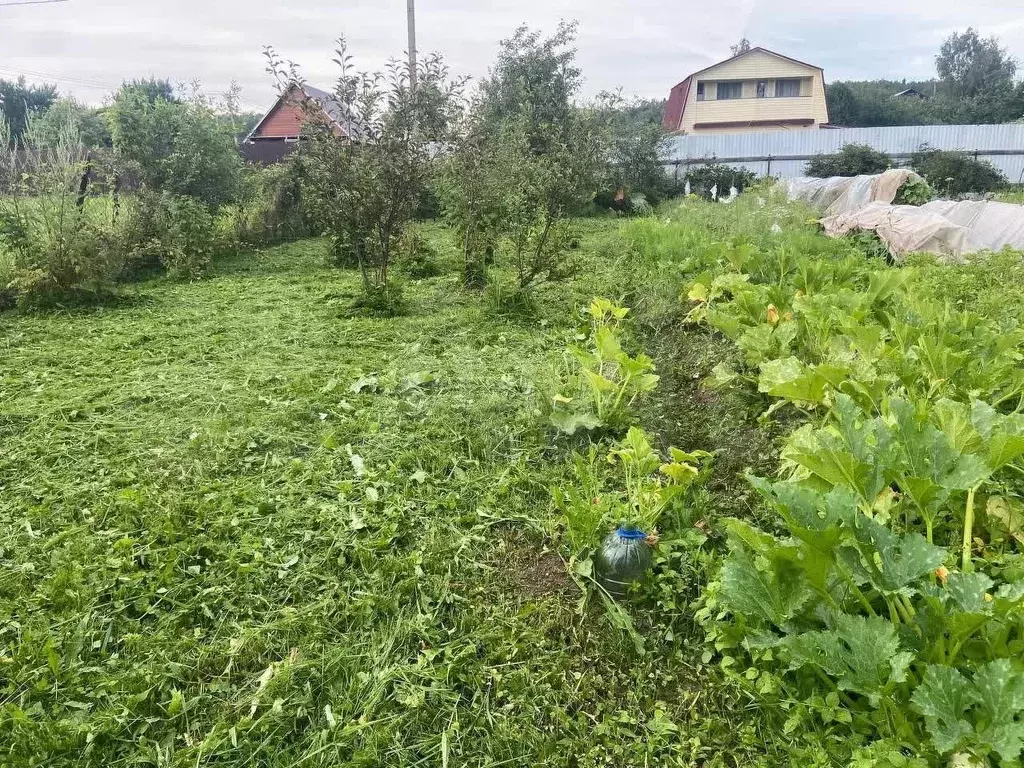 Участок 8 сот. (СНТ, ДНП) - Фото 0