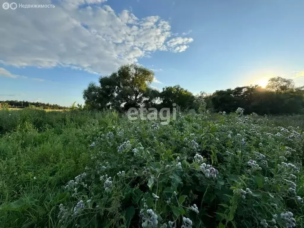 Участок в село Котово, Сосновая улица (40 м) - Фото 1