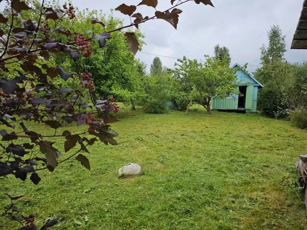 Дом в Ленинградская область, Кировский район, Путиловское с/пос, Назия ... - Фото 1