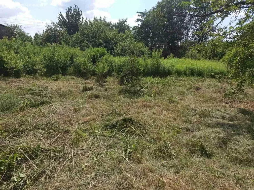 Участок в Брянск, садовое объединение Вишня-2 (12 м) - Фото 0
