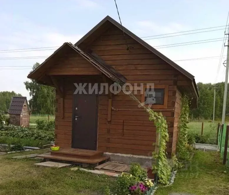 Дом в Новосибирская область, Искитимский район, с. Быстровка  (16 м) - Фото 1