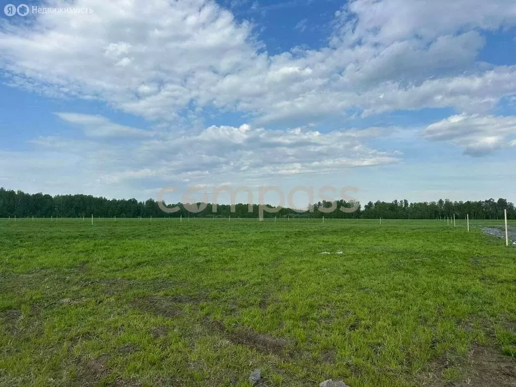 Участок в Тюменский муниципальный округ, деревня Речкина (6 м) - Фото 1