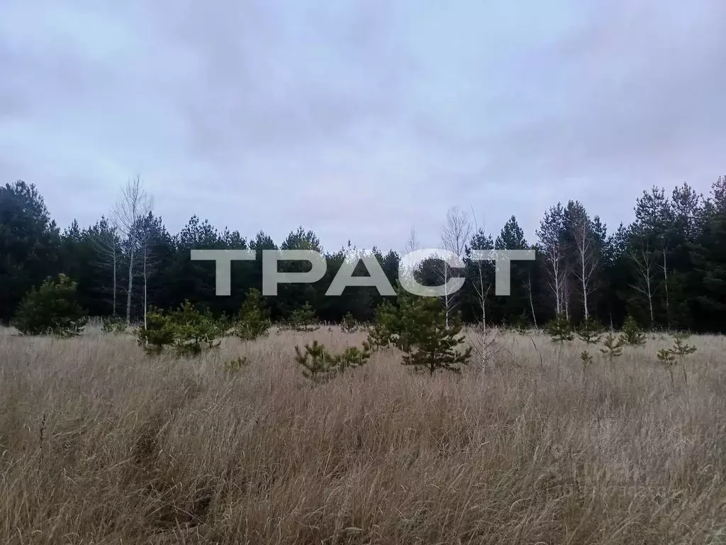 Участок в Воронежская область, Рамонский район, Новоживотинновское ... - Фото 2