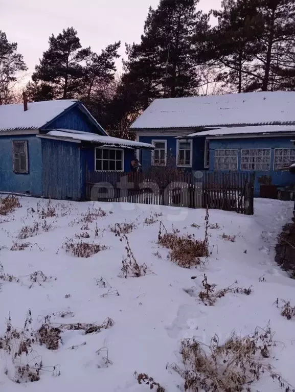Дом в Амурская область, с. Ивановка пер. Набережный, 1 (52 м) - Фото 1