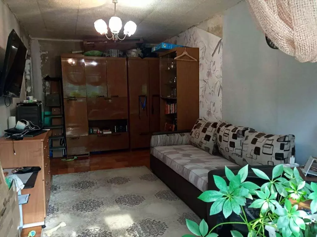 1-к кв. Удмуртия, Ижевск ул. 9 Января, 237 (30.0 м) - Фото 1