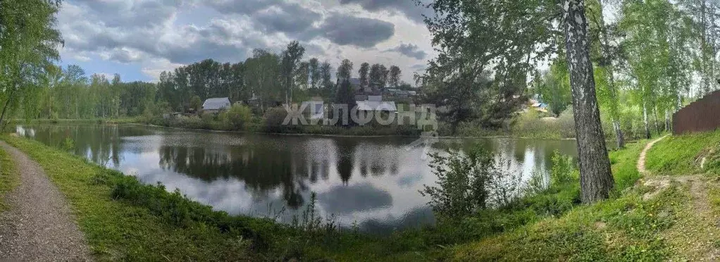 Участок в Новосибирская область, Новосибирский район, Раздольненский ... - Фото 1