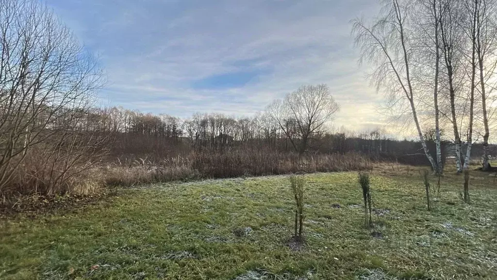 Участок в Московская область, Ступино городской округ, с. Вихорна  ... - Фото 1