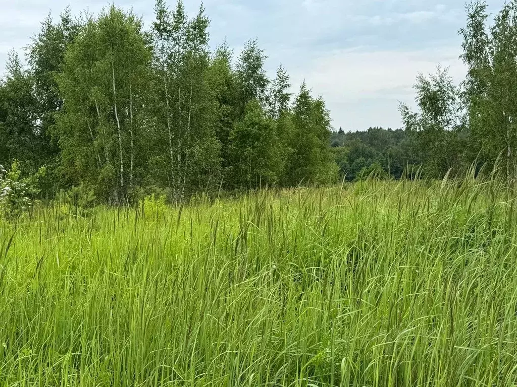 Участок в Московская область, Ногинск Богородский городской округ,  ... - Фото 1
