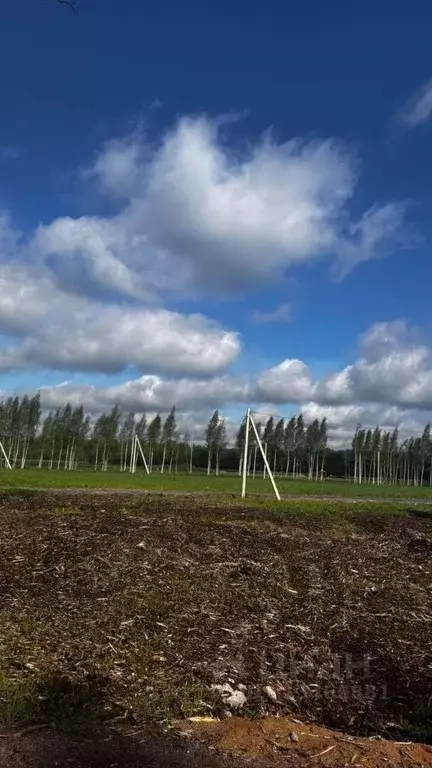Участок в Ленинградская область, Всеволожский район, Бугровское ... - Фото 2