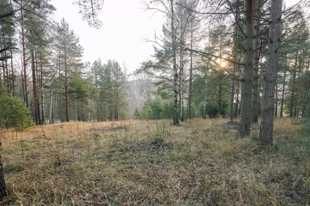 Участок в Ленинградская область, Всеволожский район, Бугровское ... - Фото 0