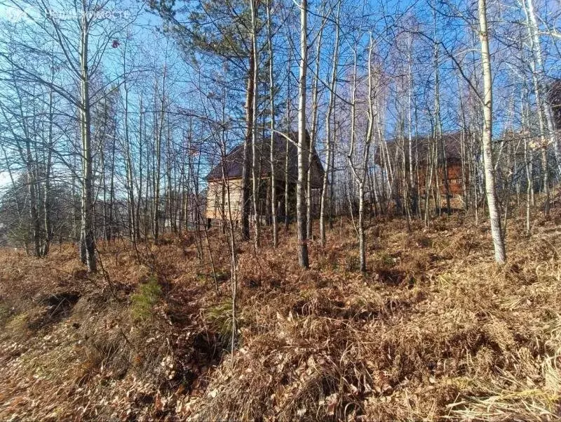 Дом в Иркутск (40 м) - Фото 0