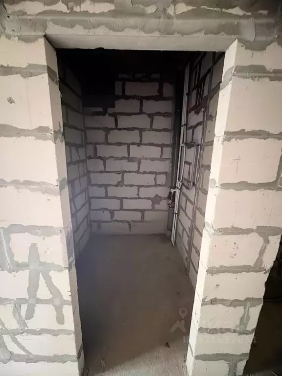 Студия Ленинградская область, Всеволожск Степной просп., 16к3 (24.1 м) - Фото 1