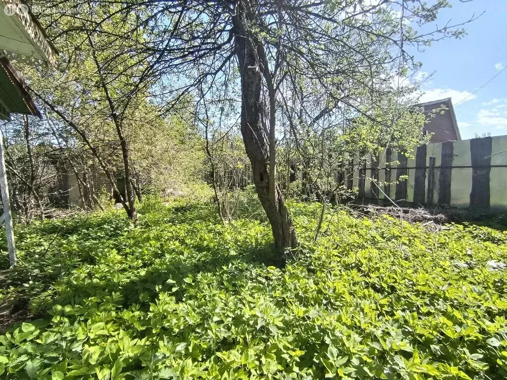 Участок в Ярославль, СНТ Скобыкино, 1-я дорожка (3.8 м) - Фото 1
