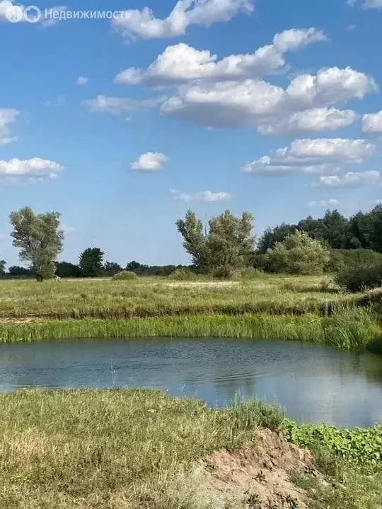 Участок в Усть-Погожье, Центральная улица (482896 м) - Фото 1