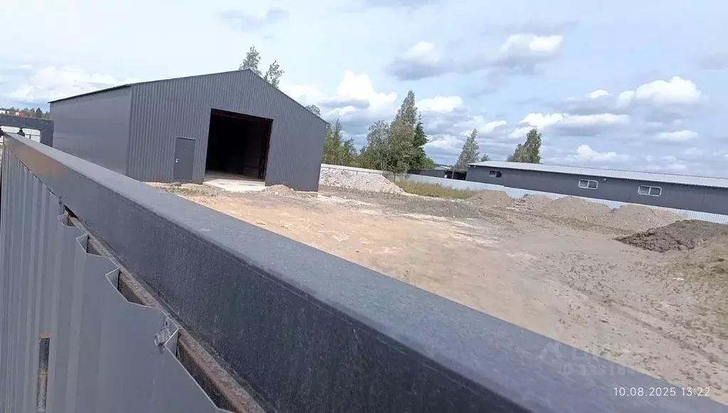 Помещение свободного назначения в Ленинградская область, Всеволожский ... - Фото 1