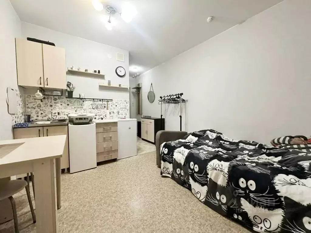 Студия Красноярский край, Красноярск ул. Лесников, 27 (20.0 м) - Фото 2