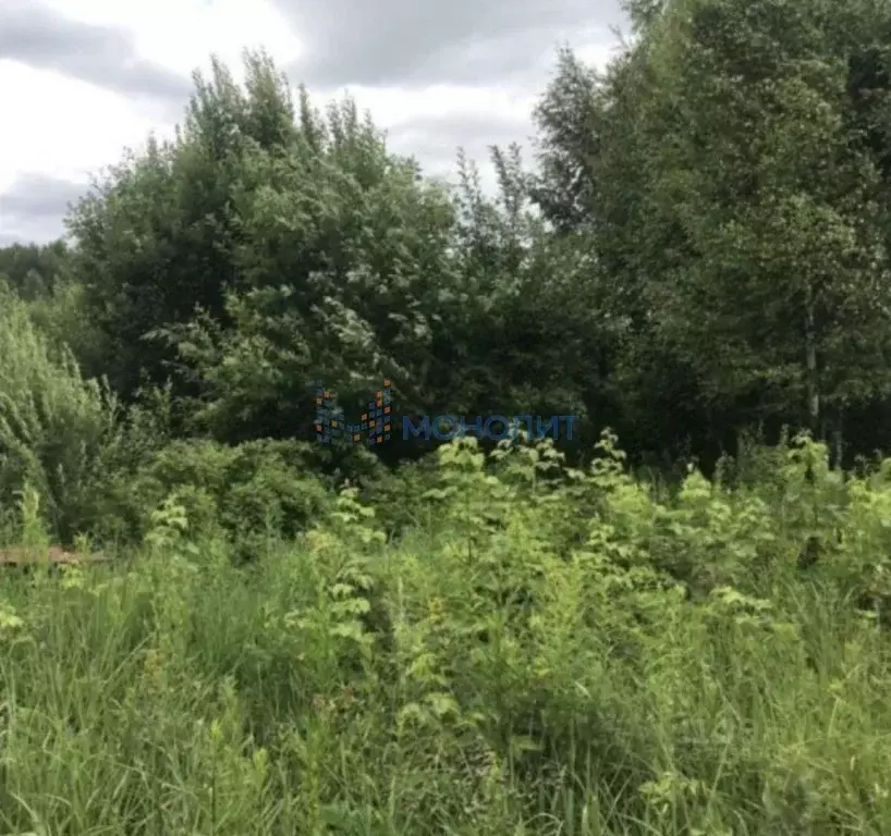 Участок в Нижегородская область, Нижний Новгород Александровская сл.,  ... - Фото 2