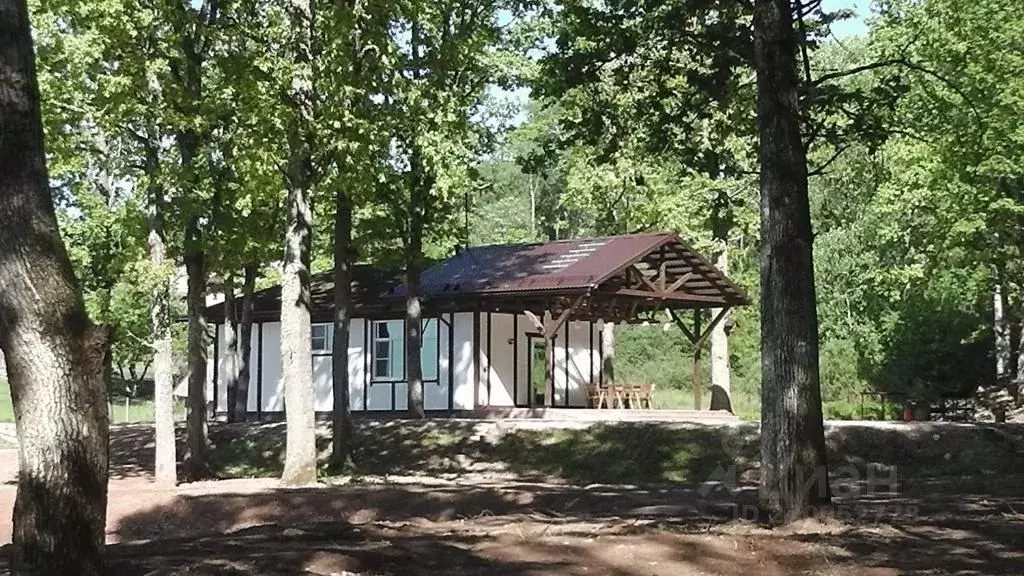 Дом в Псковская область, Пушкиногорский район, Пушкиногорье ... - Фото 1