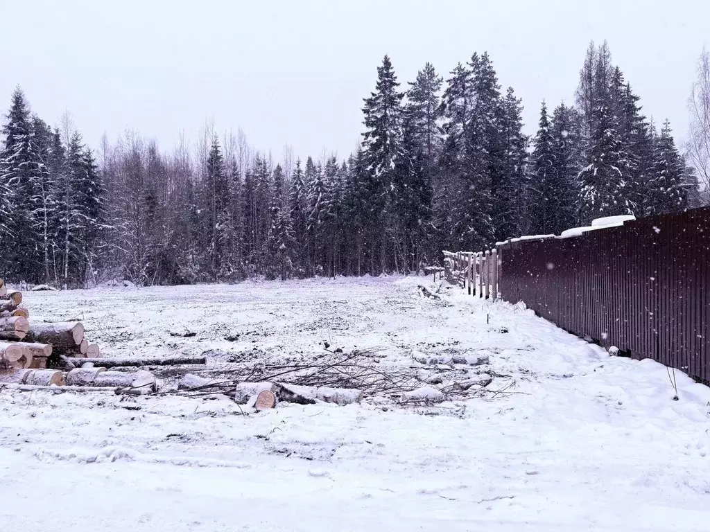 Участок в Ленинградская область, Тихвинское городское поселение, пос. ... - Фото 2