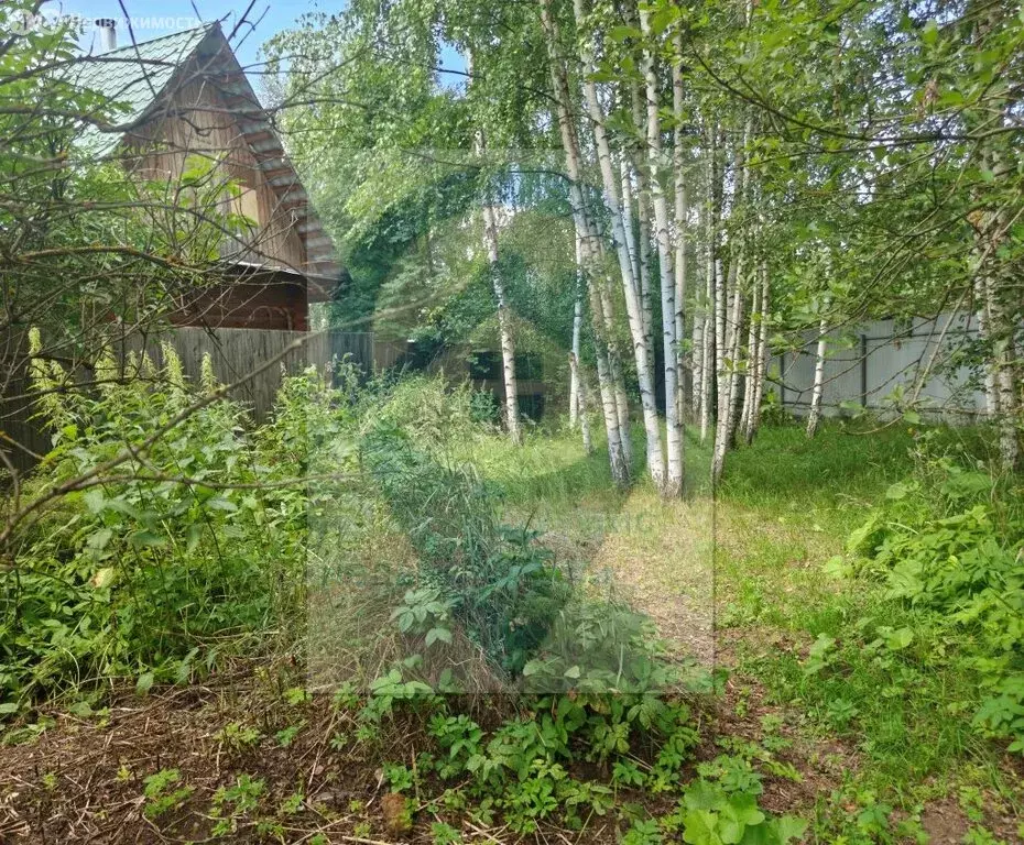 Дом в Ивановский муниципальный округ, деревня Дьяково, 10 (55.7 м) - Фото 2