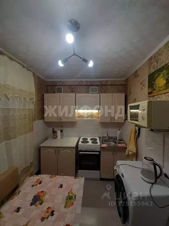 4-к кв. Новосибирская область, Новосибирск ул. Красный Факел, 10 (60.0 ... - Фото 1