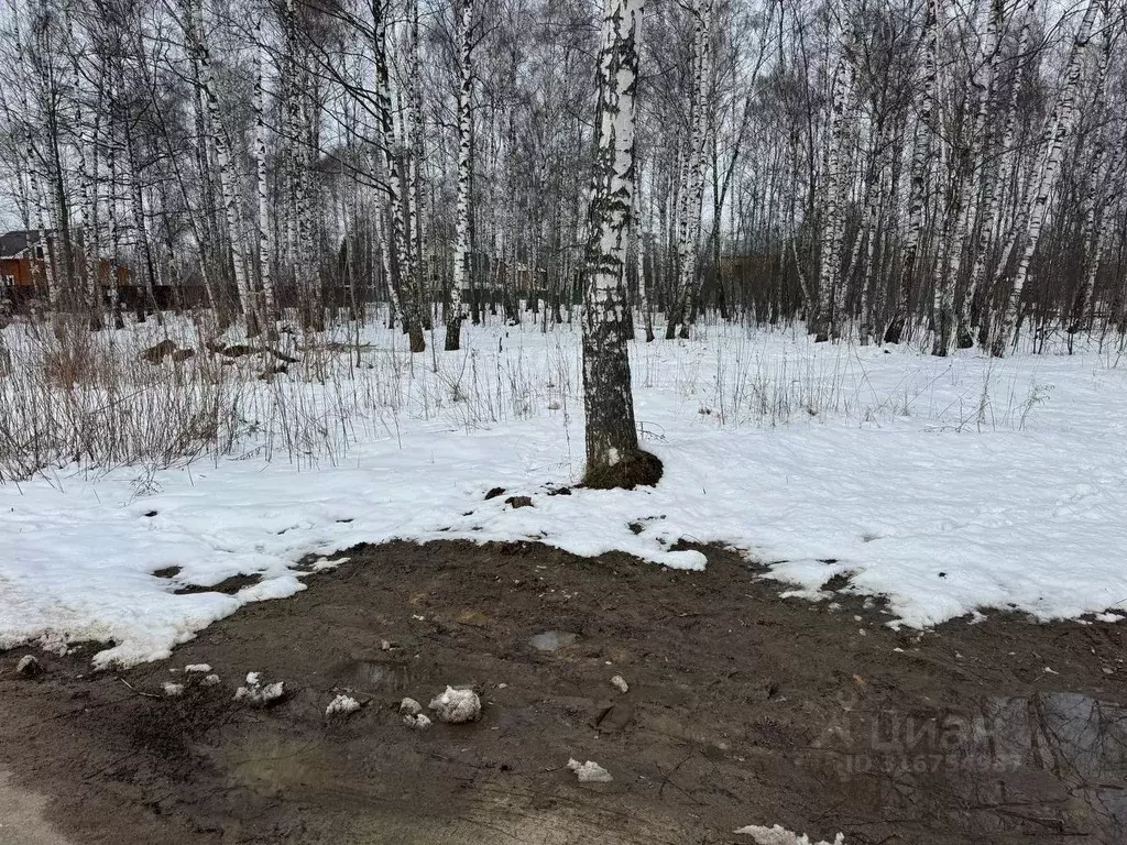 Участок в Московская область, Богородский городской округ, имени ... - Фото 1