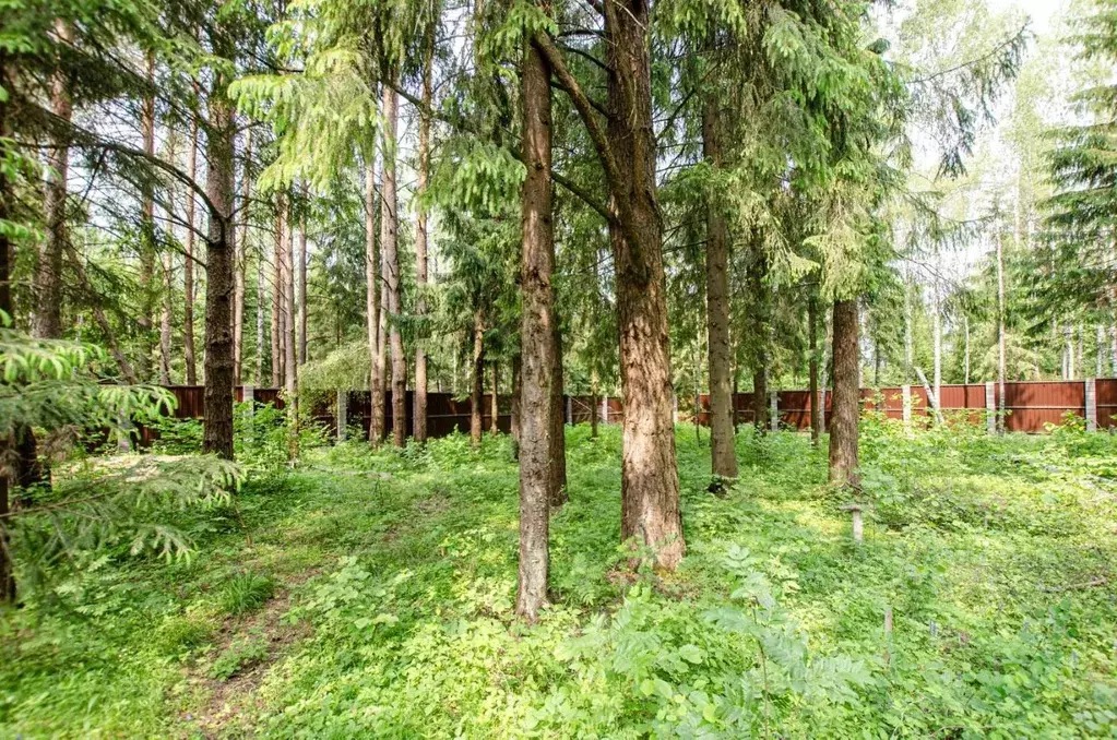 Участок в Московская область, Солнечногорск городской округ, д. Покров ... - Фото 0