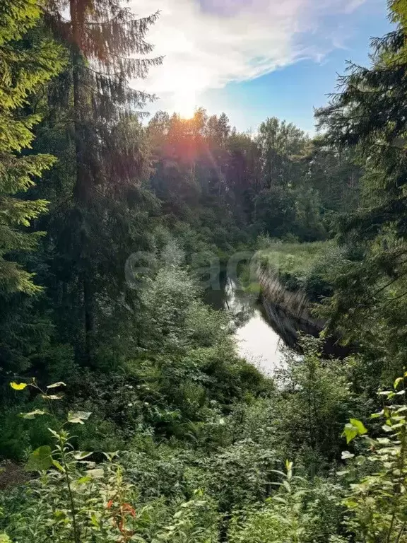 Участок в Санкт-Петербург пос. Репино, Ленгипроречтранс СНТ,  (22.81 ... - Фото 0