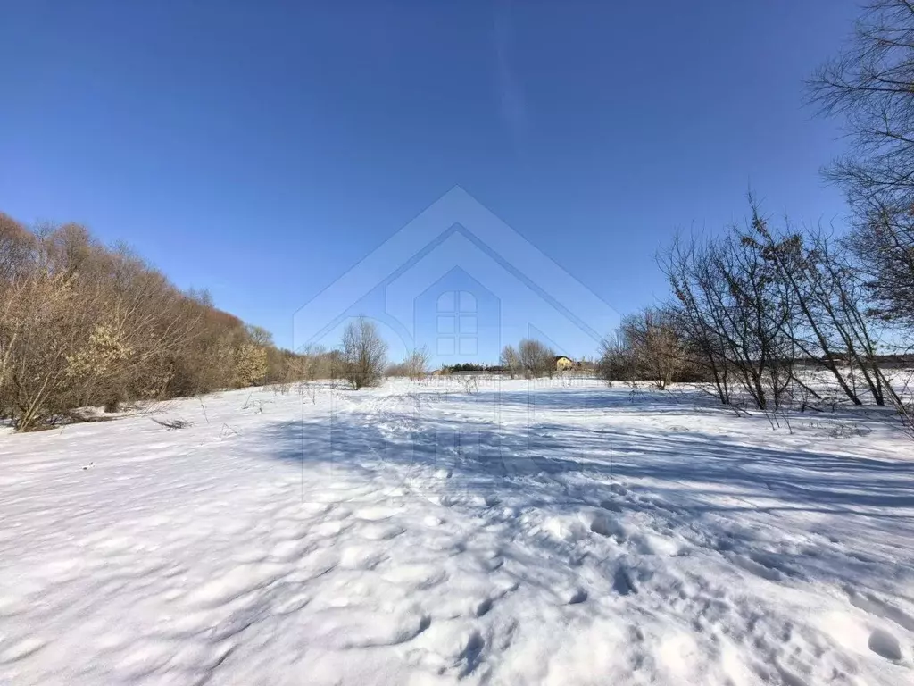 Участок в Московская область, Коломна городской округ, с. Пирочи ул. ... - Фото 1