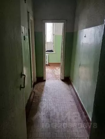 Помещение свободного назначения в Воронежская область, Воронеж ул. ... - Фото 1