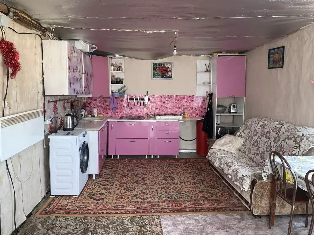 Дом в Красноярский край, Красноярск ул. Красикова, 18 (39 м) - Фото 2